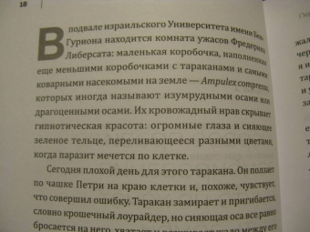 Мэтт Саймон: Трудная жизнь зомби