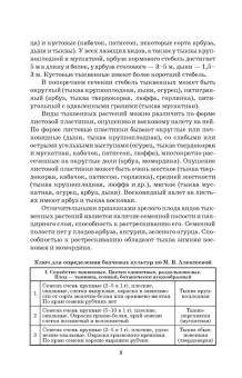 Медведев, Михальков, Мищенко: Бахчеводство. Практикум. Учебное пособие. СПО