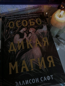 Эллисон Сафт: Особо дикая магия