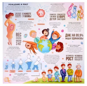 Савич Е., Бабенко У., Макрушина С., Ларичкина О.: Анатомия: книжка-трансформер