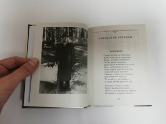 Николай Заболоцкий: Признание. Стихотворения