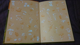 Петр Волцит: Ягоды и грибы