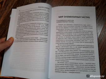 Антон Малютин: Микромир и макромир