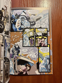 Пол Дини: Бэтмен. Мистер Фриз