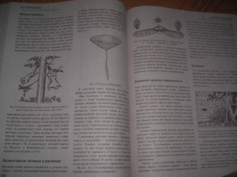 Яков Перельман: Занимательные науки