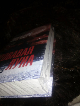 Катрине Энгберг: Кровавая луна