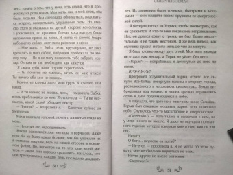 Стейси Браун: Скверные Земли