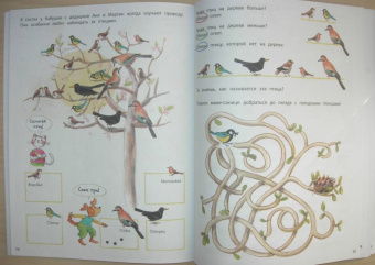 Наташа Буцик: Думай и играй