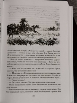 Рид Майн: Всадник без головы. Морской волчонок