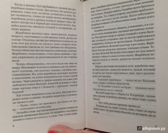 Лев Брандт: Пират