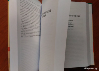 Дитмар Розенталь: Классический справочник по русскому языку. Орфография. Пунктуация. Орфографический словарь