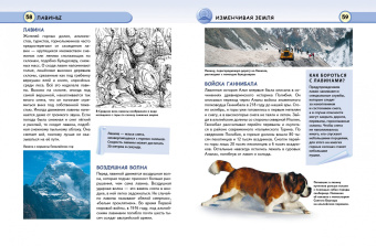 Ананьева, Мирнова: Земля