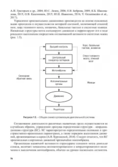 Городничев, Шляхтов: Физиология координационных способностей спортсменов. Монография