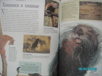 Моя первая энциклопедия