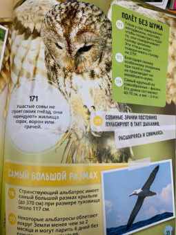Животные. 250+ невероятных фактов. Энциклопедия в дополненной реальности