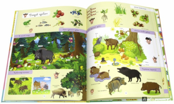 Людмила Доманская: Очень большая книга о животных