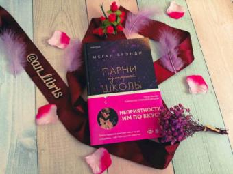 Меган Брэнди: Парни из старшей школы