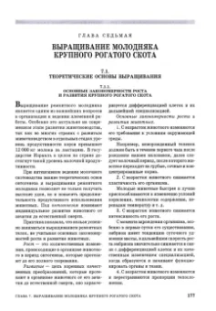 Родионов, Табакова, Костомахин: Скотоводство. Учебник для вузов