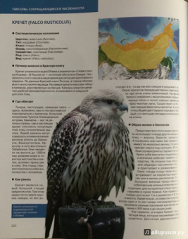 Скалдина, Слиж: Большая Красная книга (стерео-варио) 3D-обложка
