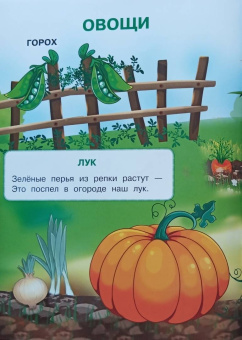 Ирина Шестакова: Овощи и фрукты