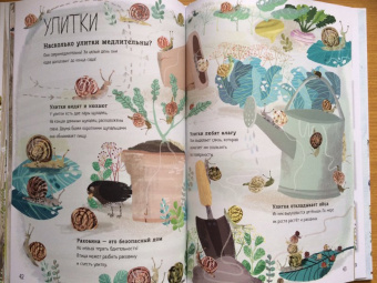 Зоммер, Тейлор: Большая книга букашек