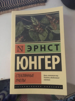 Эрнст Юнгер: Стеклянные пчелы
