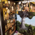 Алехандро Ходоровски: Мегалекс