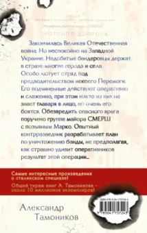 Александр Тамоников: Бой с невидимкой