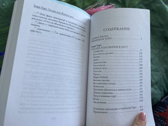 Генри Торо: Уолден, или жизнь в лесу