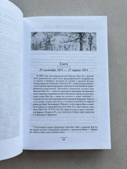 Гог Ван: Птица в клетке. Письма 1872-1883 годов