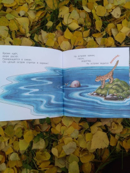 Ксения Горбунова: Точка растет