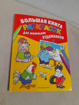 Большая книга раскрасок для маленьких художников