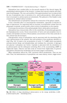 Дмитрий Харкевич: Pharmacology. Textbook