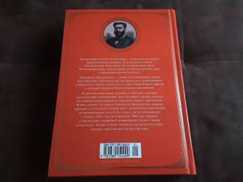 Луи Буссенар: Похитители бриллиантов