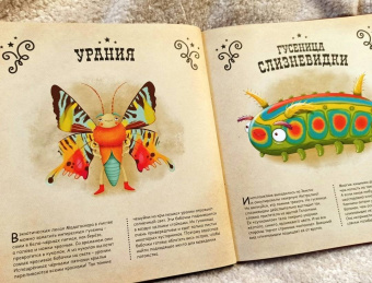 Конечна, Нова: Чудо-животные. Странные, хитрые, забавные…