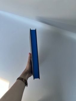 Эмили Тейлор: Отель "Манифик"