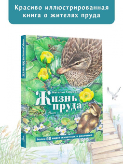 Наталья Габеева: Жизнь пруда