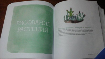 Эмма Блок: Акварель. 40 вдохновляющих идей, чтобы начать рисовать