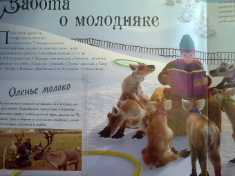 Род Грин: Олени Санта-Клауса