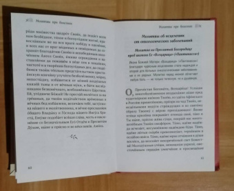 Ирина Булгакова: Домашние молитвы. На все случаи жизни
