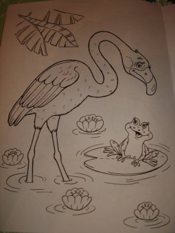 Татьяна Коваль: Живая планета