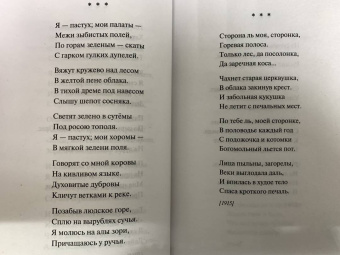 Сергей Есенин: Чёрный человек