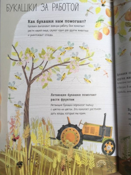 Зоммер, Тейлор: Большая книга букашек