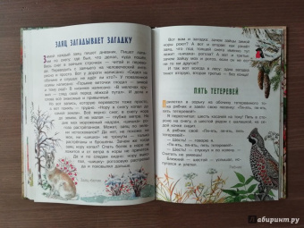 Николай Сладков: Лесные сказки