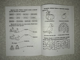 СКОРОчитайка. 6-7 лет. Подготовка к школе. ФГОС