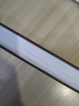 Александр Дюма: Приключения Лидерика. Амори