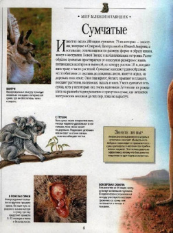 Самая красивая энциклопедия животных