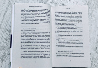 Хендрик Грун: Новые записки Хендрика Груна из амстердамской богадельни