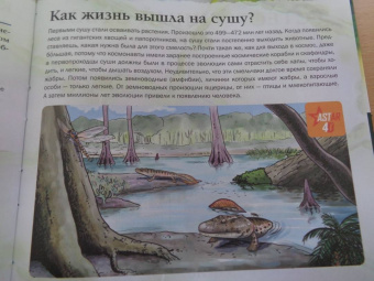 Анна Спектор: Живой мир
