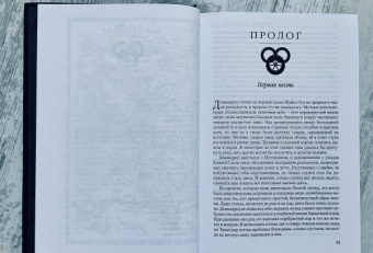 Роберт Джордан: Колесо Времени. Книга 6. Властелин хаоса